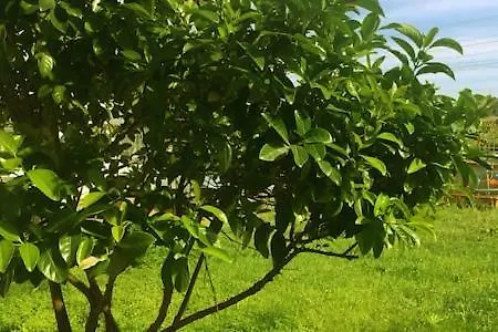 Lägenhet Case In Puglia Massafra